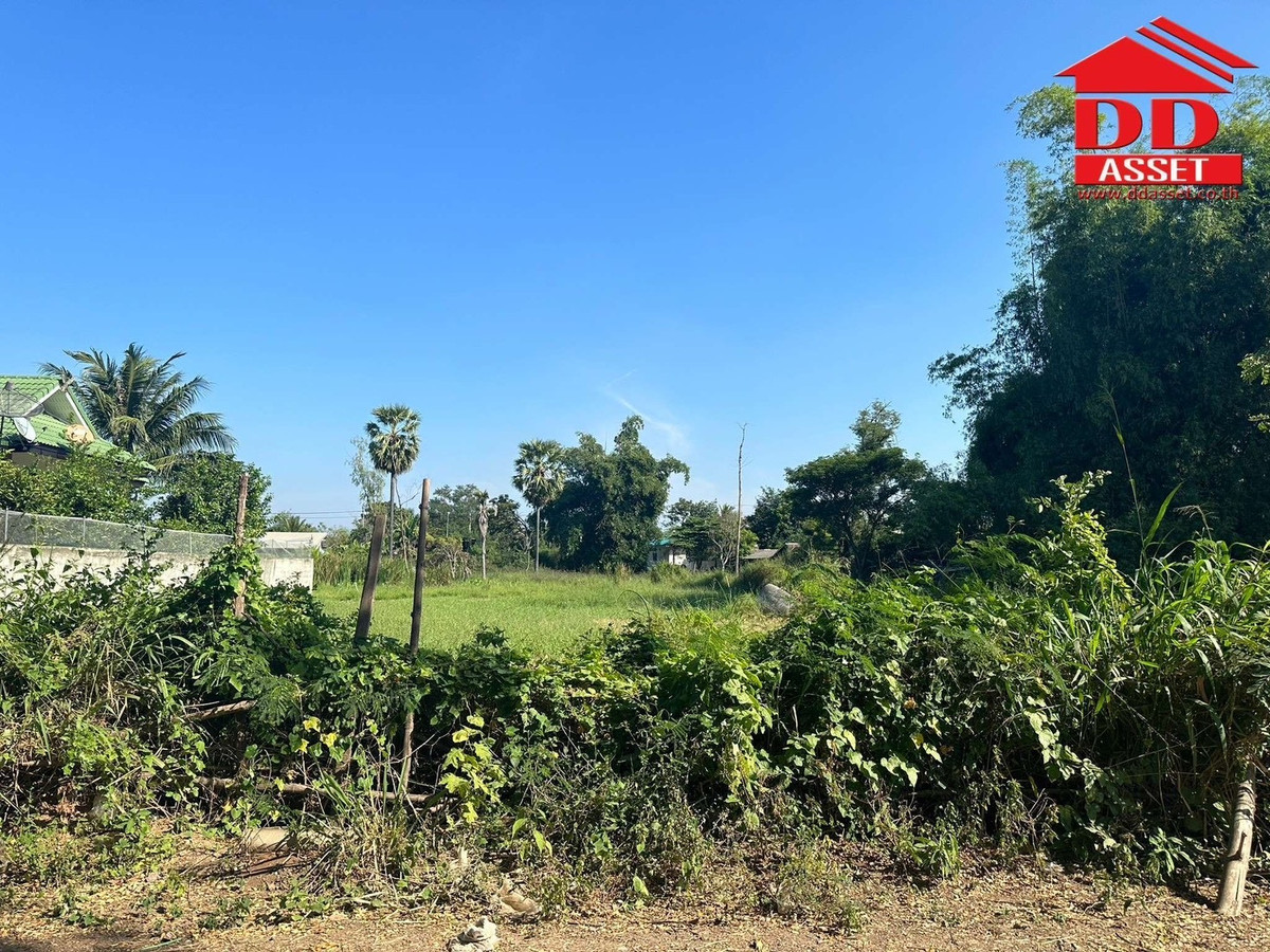 ขายที่ดินโคราช นครราชสีมา : ขายที่ดิน จ.นครราชสีมา ซอยเฉลิมพระเกียรติ เมืองย่าโม รหัส : L8053