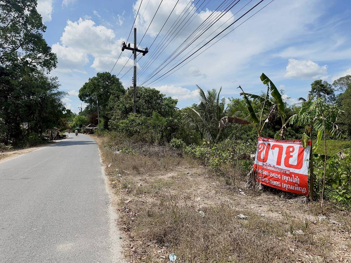 ขายที่ดินนครศรีธรรมราช : ขายที่ดินใกล้โรงเรียนสะเพลง อำเภอเฉลิมพระเกียรติ นครศรีธรรมราช  รหัส : L8052