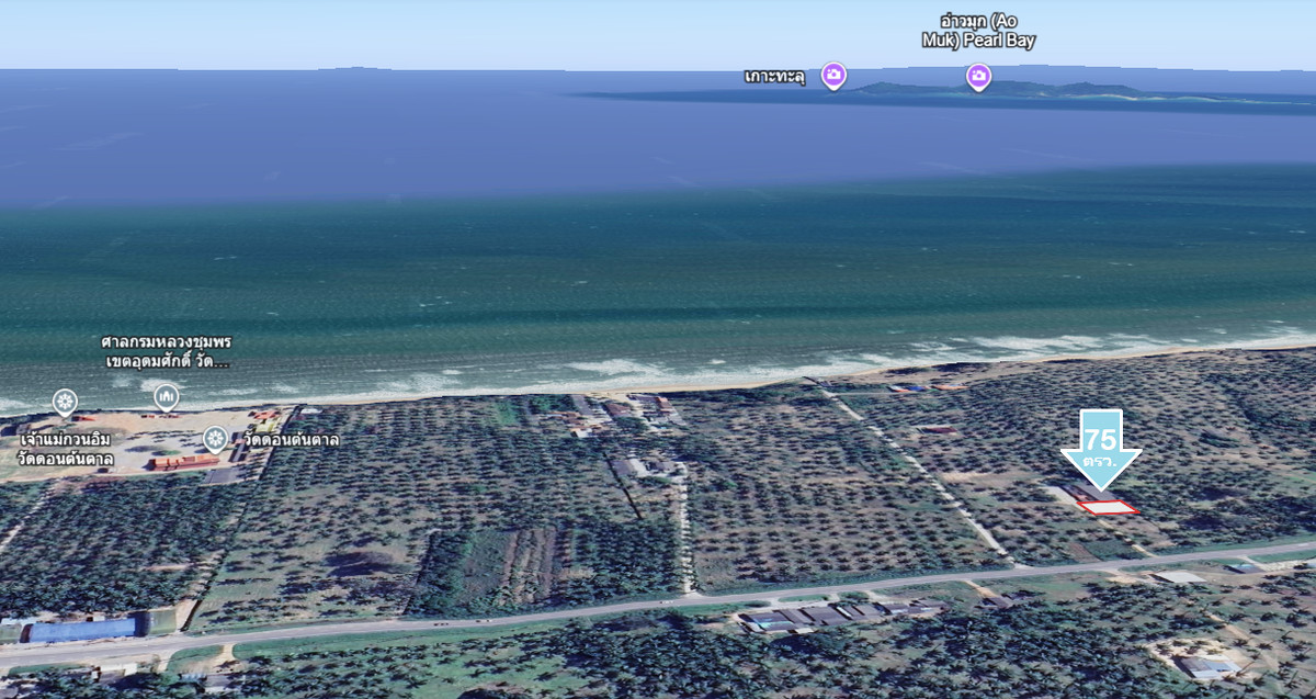 ขายที่ดินหัวหิน ประจวบคีรีขันธ์ : ที่ดินชายทะเล บางสะพาน ราคาถูก