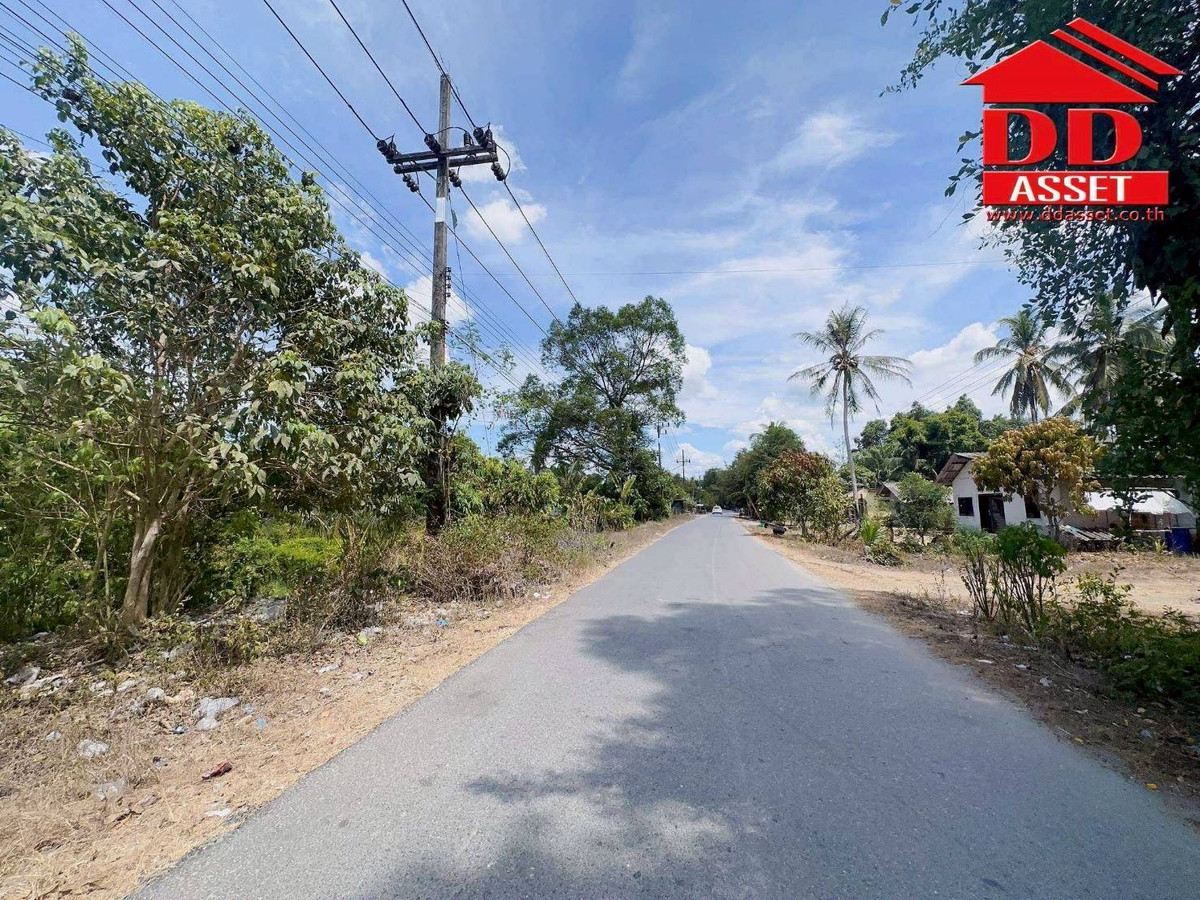 ขายที่ดินนครศรีธรรมราช : ขายที่ดินใกล้โรงเรียนสะเพลง อำเภอเฉลิมพระเกียรติ นครศรีธรรมราช  รหัส : L8052