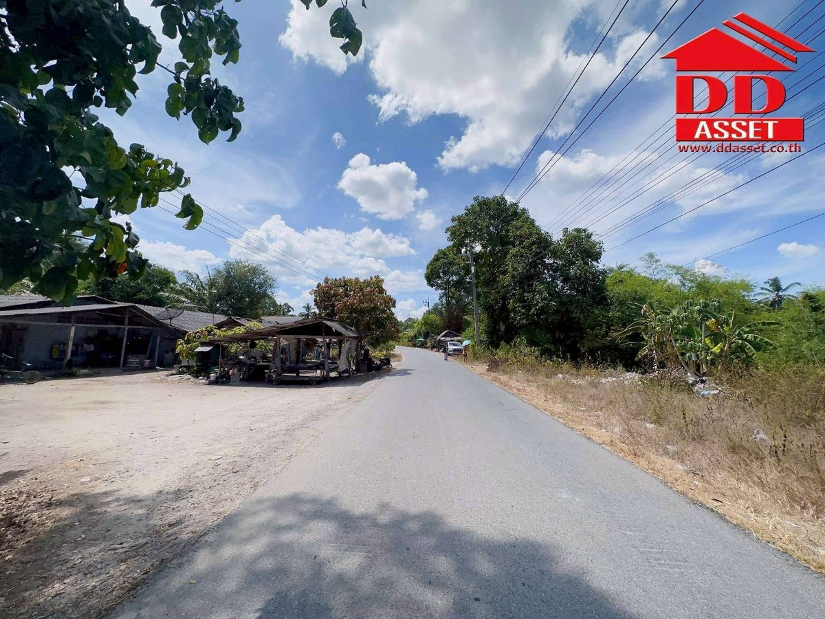 ขายที่ดินนครศรีธรรมราช : ขายที่ดินใกล้โรงเรียนสะเพลง อำเภอเฉลิมพระเกียรติ นครศรีธรรมราช  รหัส : L8052