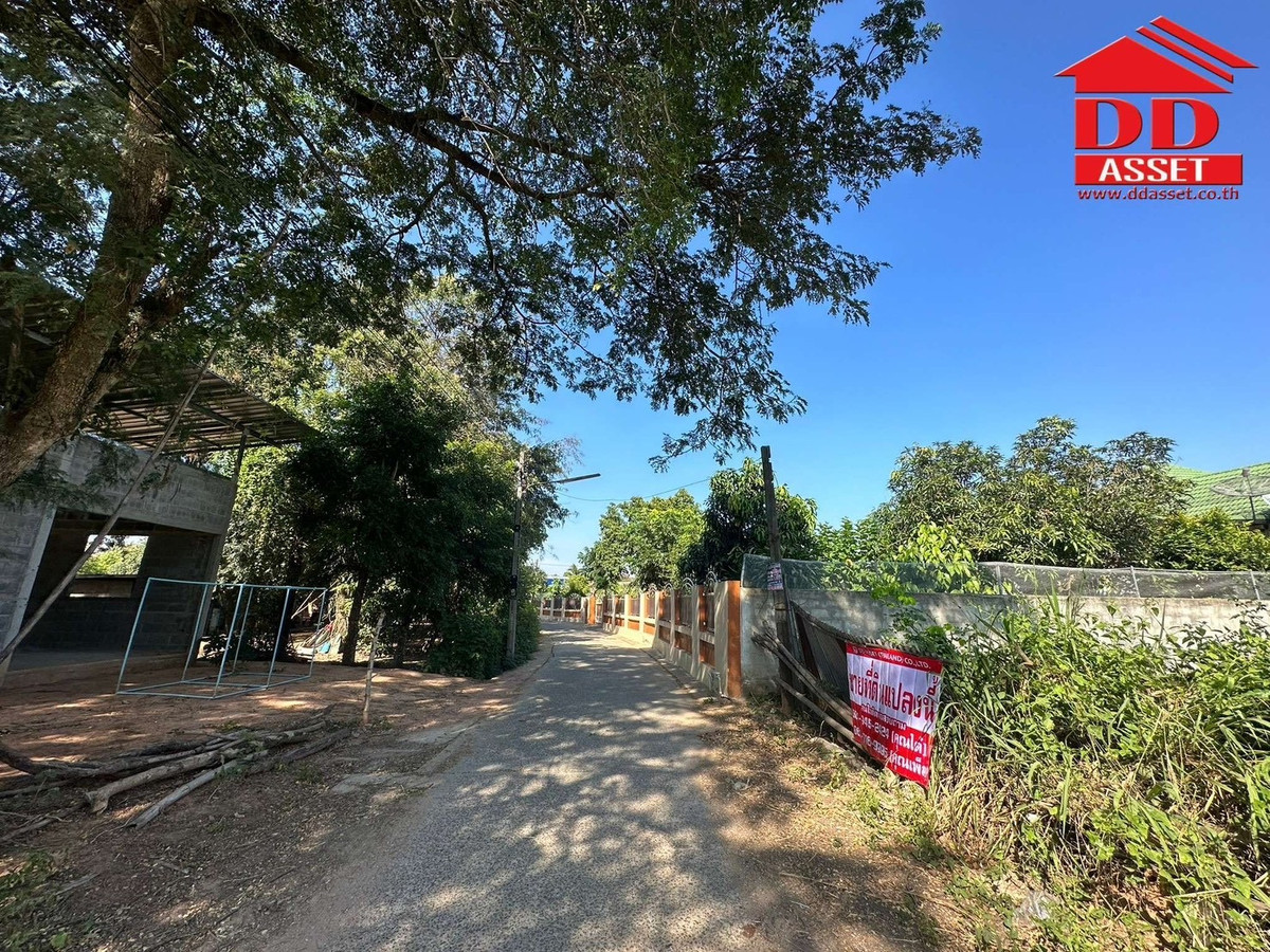 ขายที่ดินโคราช นครราชสีมา : ขายที่ดิน จ.นครราชสีมา ซอยเฉลิมพระเกียรติ เมืองย่าโม รหัส : L8053