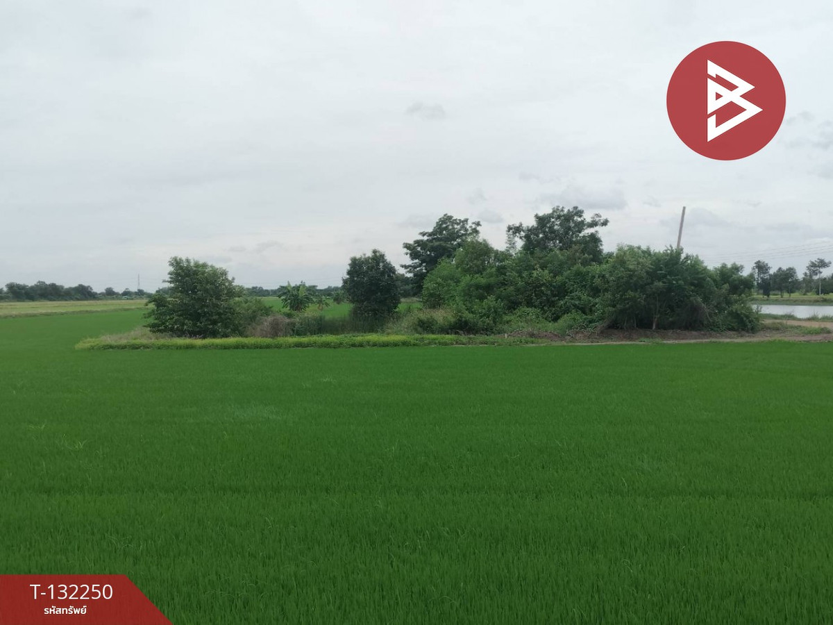 ขายที่ดินนนทบุรี บางใหญ่ บางบัวทอง : ขายที่ดิน เนื้อที่ 1 ไร่ ไทรน้อย นนทบุรี