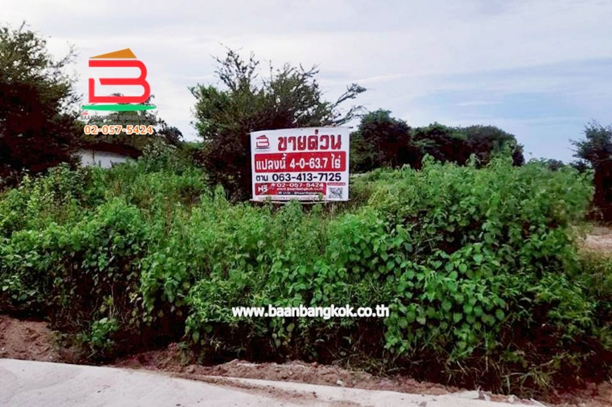 For SaleLandKhon Kaen : Empty land, entrance to Nong Ko community, area 4-0-63.7 rai, near Chatchawan mushroom farm, Rural Road 2039, Nong Ko Subdistrict, Kranuan District, Khon Kaen Province.