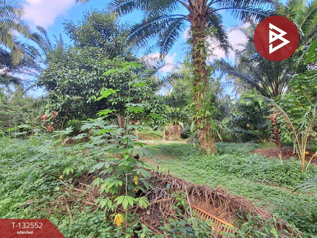 ขายที่ดินนครศรีธรรมราช : ขายที่ดิน เนื้อที่ 2 ไร่ 1 งาน 13.9 ตารางวา ต.ไชยมนตรี เมืองนครศรีธรรมราช