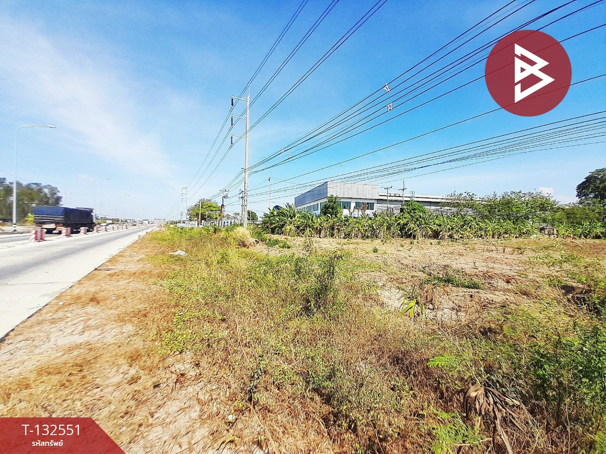 ขายที่ดินฉะเชิงเทรา : ขายที่ดินติดถนน เนื้อที่ 5 ไร่ 3 งาน 82 ตร.วา ท่าไข่ ฉะเชิงเทรา