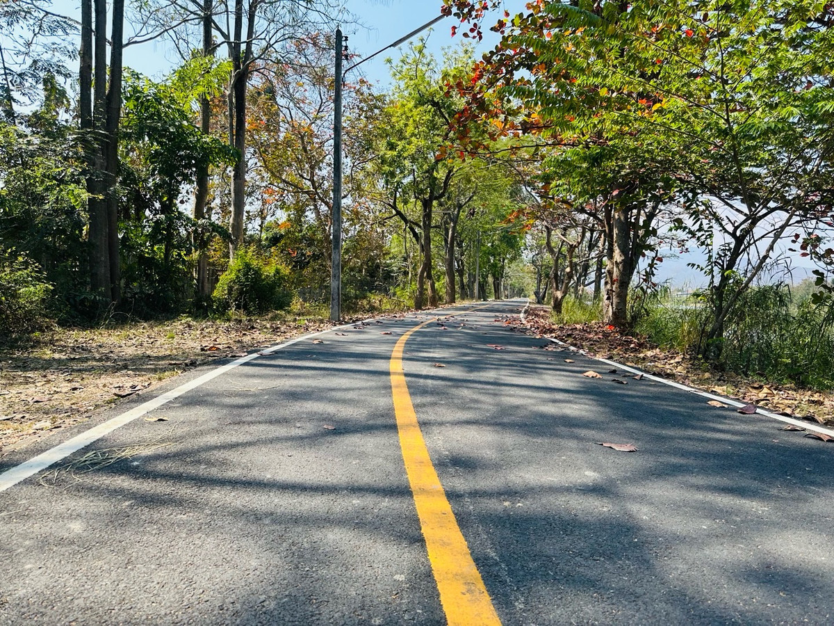 For SaleLandChiang Mai : ❗️Urgent sale❗️Empty land, good atmosphere, Khuang Pao Subdistrict, Chiang Mai Province.