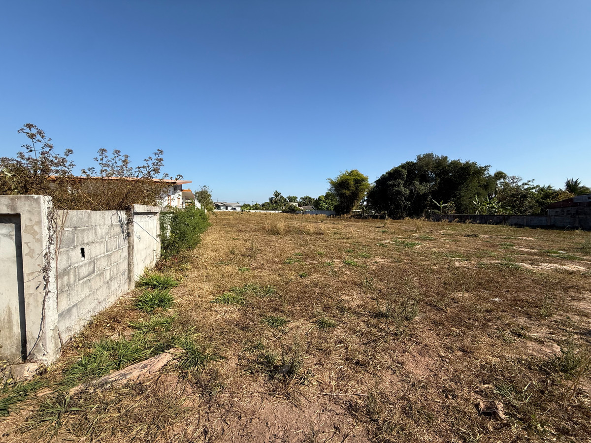 ขายที่ดินนครพนม : ขายที่ดินถมแล้ว อ.เรณูนคร นครพนม  3 ไร่  ถนนโพธิ์เจริญ ตรงข้าม ปตท.เรณู เหมาะสร้างหมู่บ้าน