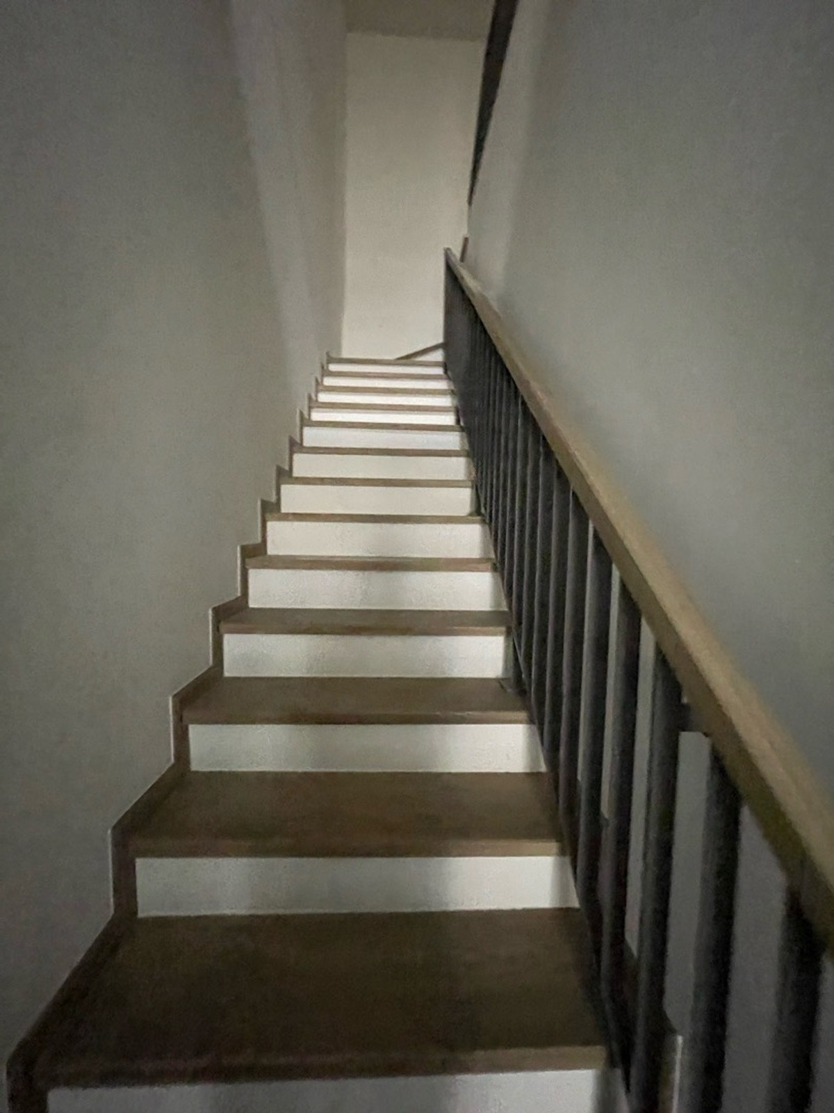 ให้เช่าทาวน์โฮมลาดพร้าว101 แฮปปี้แลนด์ : ให้เช่า – ทาวน์โฮมสุดหรู โครงการ THER LADPRAO 93 (เธอ ลาดพร้าว 93)  วิวสวน บรรยากาศร่มรื่น