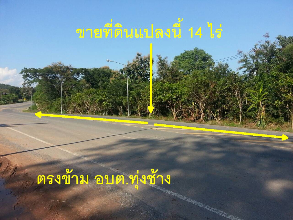 For SaleLandNan : Empty land for sale, 14 rai, opposite Thung Chang Subdistrict Administrative Organization, next to 8 lane road, Route 101, Nan-Laos Road, Hongsa Power Plant, Nan Province, on the way to Lao PDR.