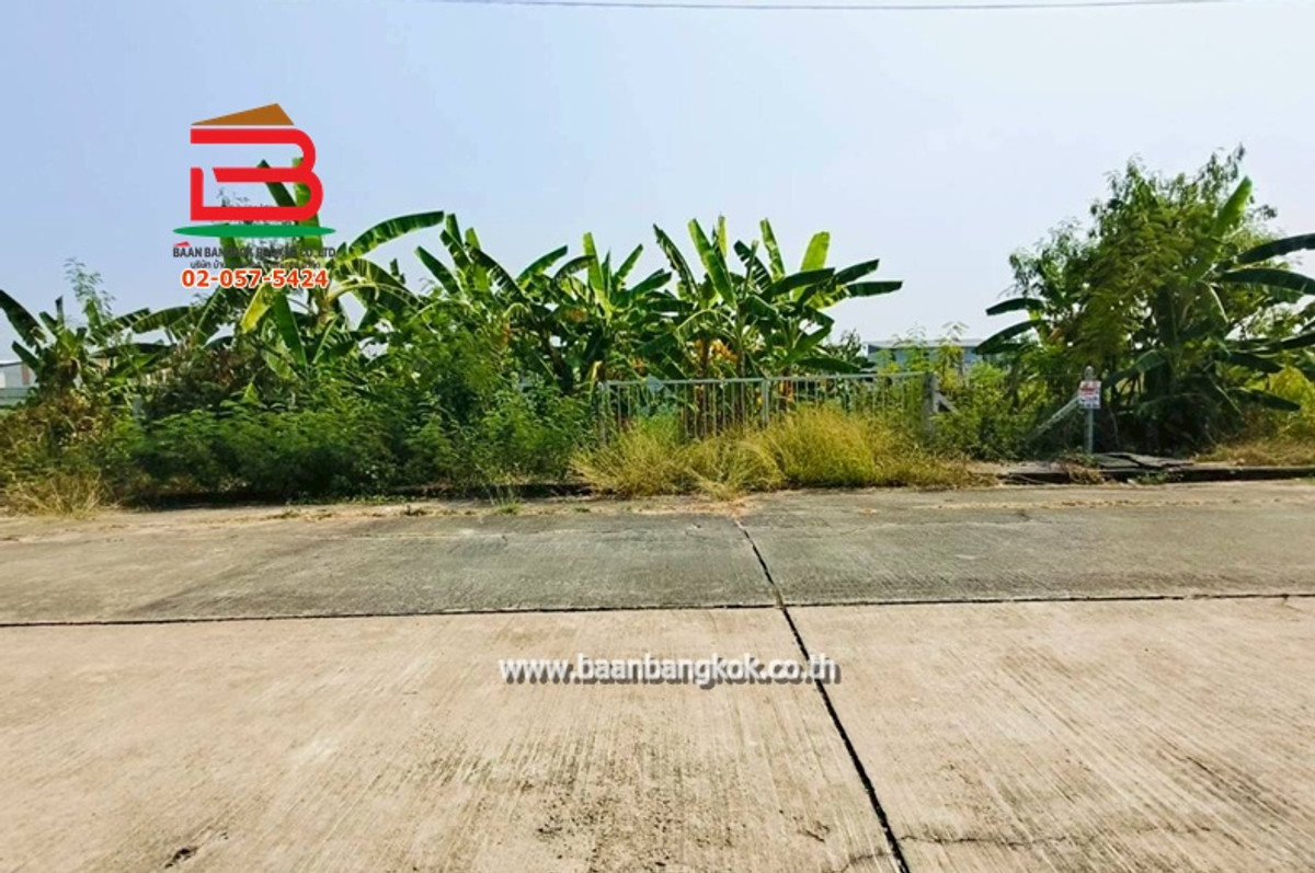 For SaleLandPathum Thani,Rangsit, Thammasat : Land in Panyasiri Village, area 87 sq m., near Rahaeng Subdistrict Administrative Organization. Kanchanaphisek Ring Road No. 9, Rahaeng Subdistrict, Lat Lum Kaeo District Pathum Thani Province
