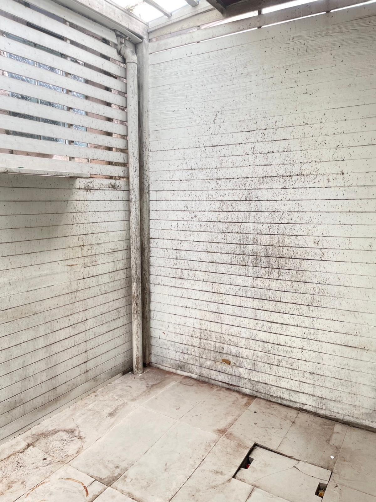 ขายทาวน์โฮมสมุทรปราการ สำโรง : ขายทาวน์เฮ้าส์/ทาวน์โฮม  ศุภาลัย วิลล์ ศรีนครินทร์ - กิ่งแก้ว บางแก้ว บางพลี สมุทรปราการ CX-145224