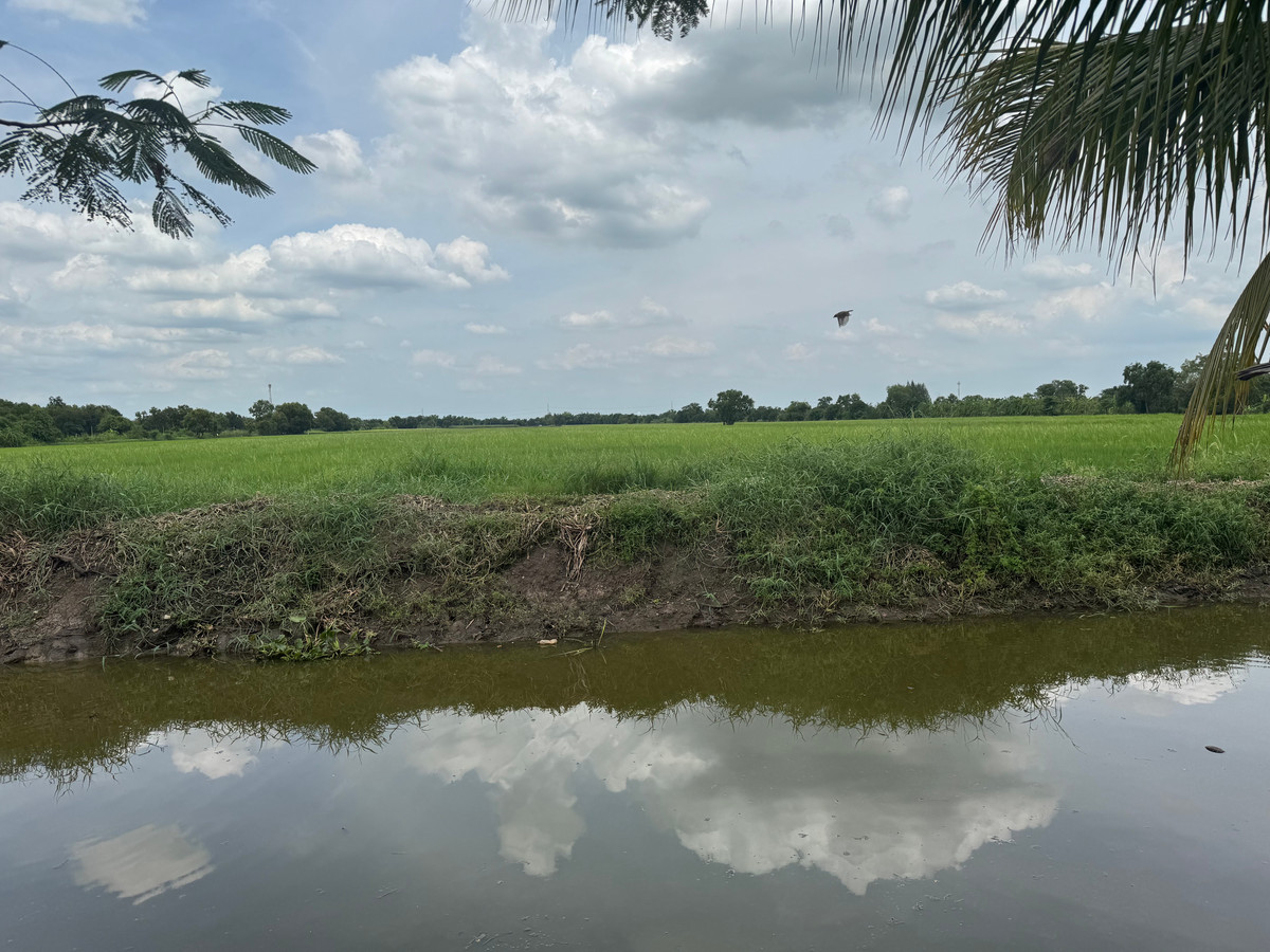 ขายที่ดินปทุมธานี รังสิต ธรรมศาสตร์ : ขายด่วน ✨ ที่ดินใกล้เทศบาลเมืองสนั่นรักษ์ ใกล้ชุมชนน และ ถนน 8 เลนสายรังสิต-นครนายก เพียงไร่ละ 1.2 ล้านบาท