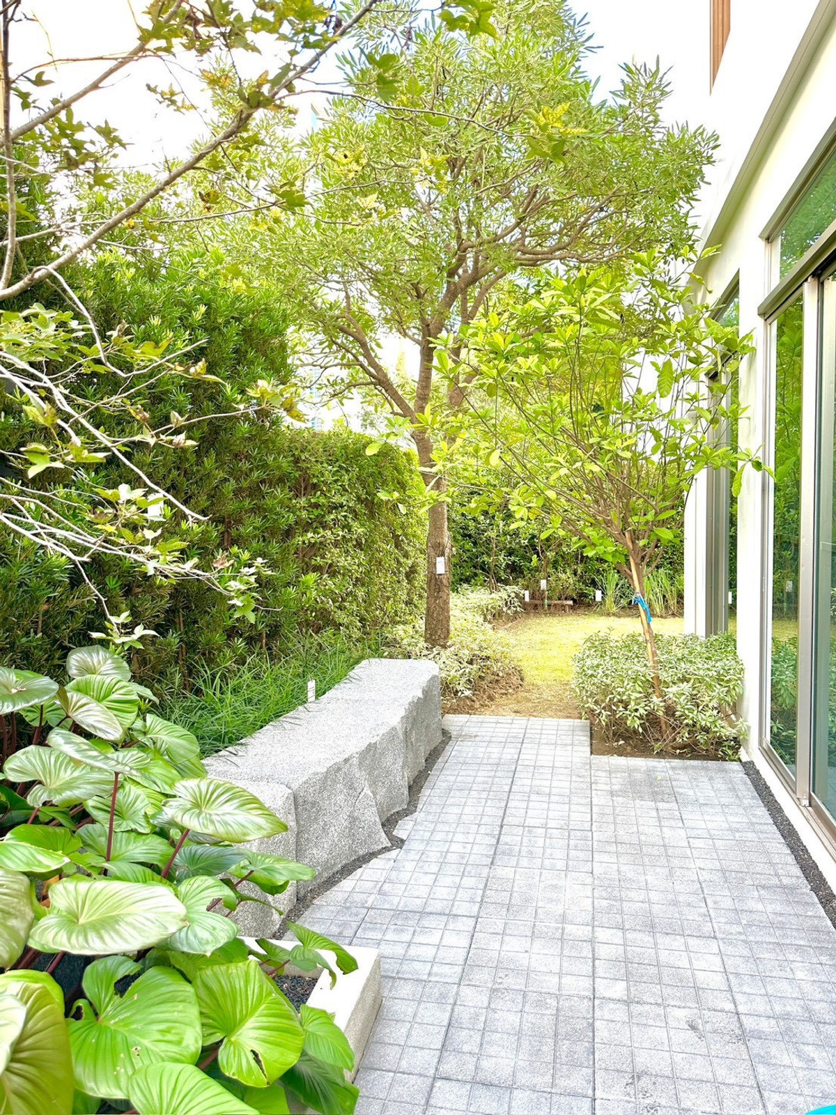 HousePattanakan, Srinakarin : For rent/sale, detached house, Vive Rama9 project, Vive Rama 9 (Krungthep Kreetha)