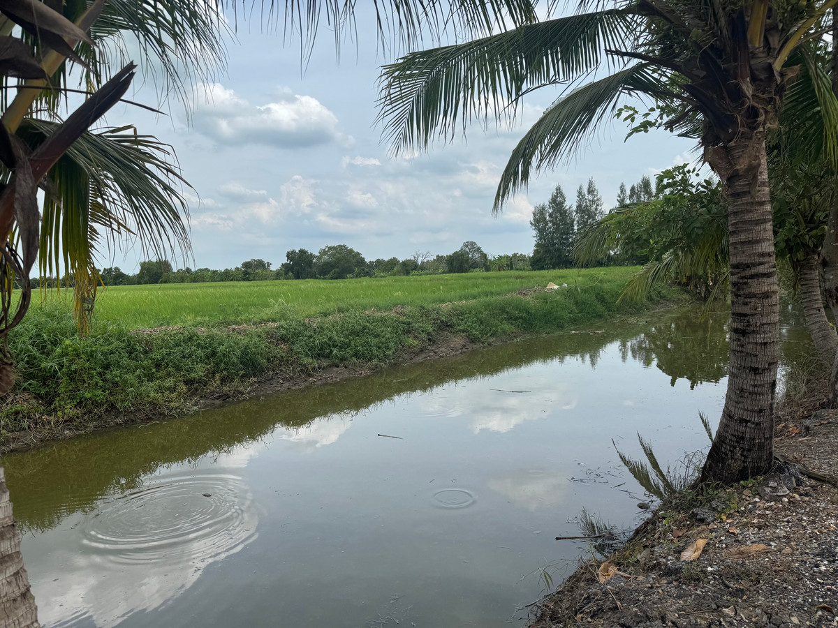 ขายที่ดินปทุมธานี รังสิต ธรรมศาสตร์ : ขายด่วน ✨ ที่ดินใกล้เทศบาลเมืองสนั่นรักษ์ ใกล้ชุมชนน และ ถนน 8 เลนสายรังสิต-นครนายก เพียงไร่ละ 1.2 ล้านบาท