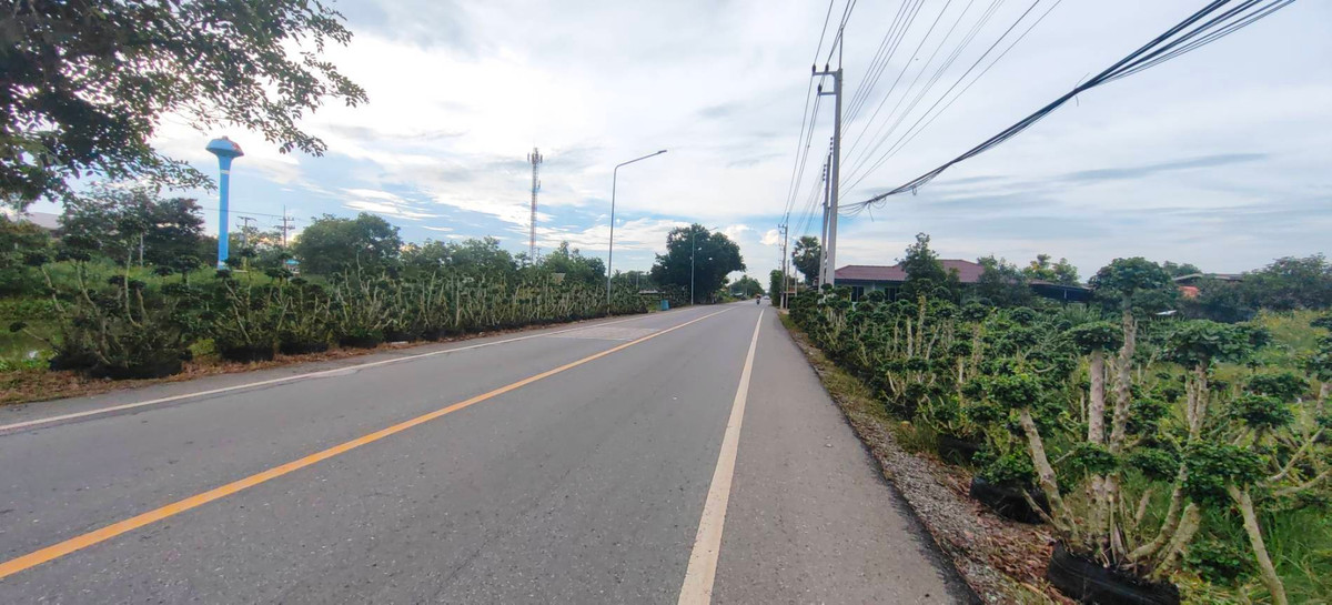 ขายที่ดินปทุมธานี รังสิต ธรรมศาสตร์ : ขายด่วน ✨ ที่ดินใกล้เทศบาลเมืองสนั่นรักษ์ ใกล้ชุมชนน และ ถนน 8 เลนสายรังสิต-นครนายก เพียงไร่ละ 1.2 ล้านบาท