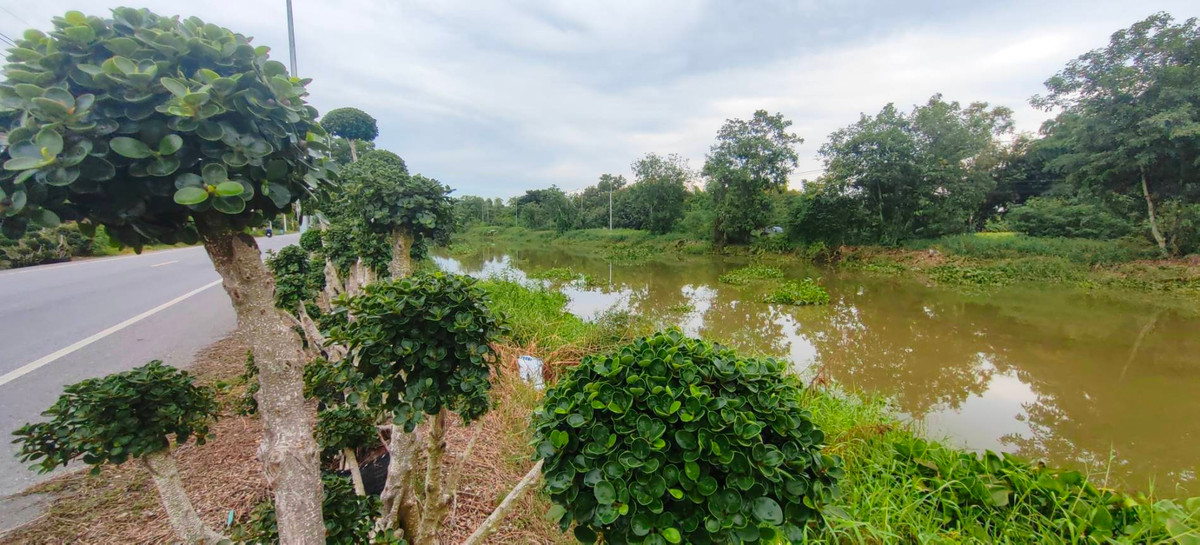 ขายที่ดินปทุมธานี รังสิต ธรรมศาสตร์ : ขายด่วน ✨ ที่ดินใกล้เทศบาลเมืองสนั่นรักษ์ ใกล้ชุมชนน และ ถนน 8 เลนสายรังสิต-นครนายก เพียงไร่ละ 1.2 ล้านบาท