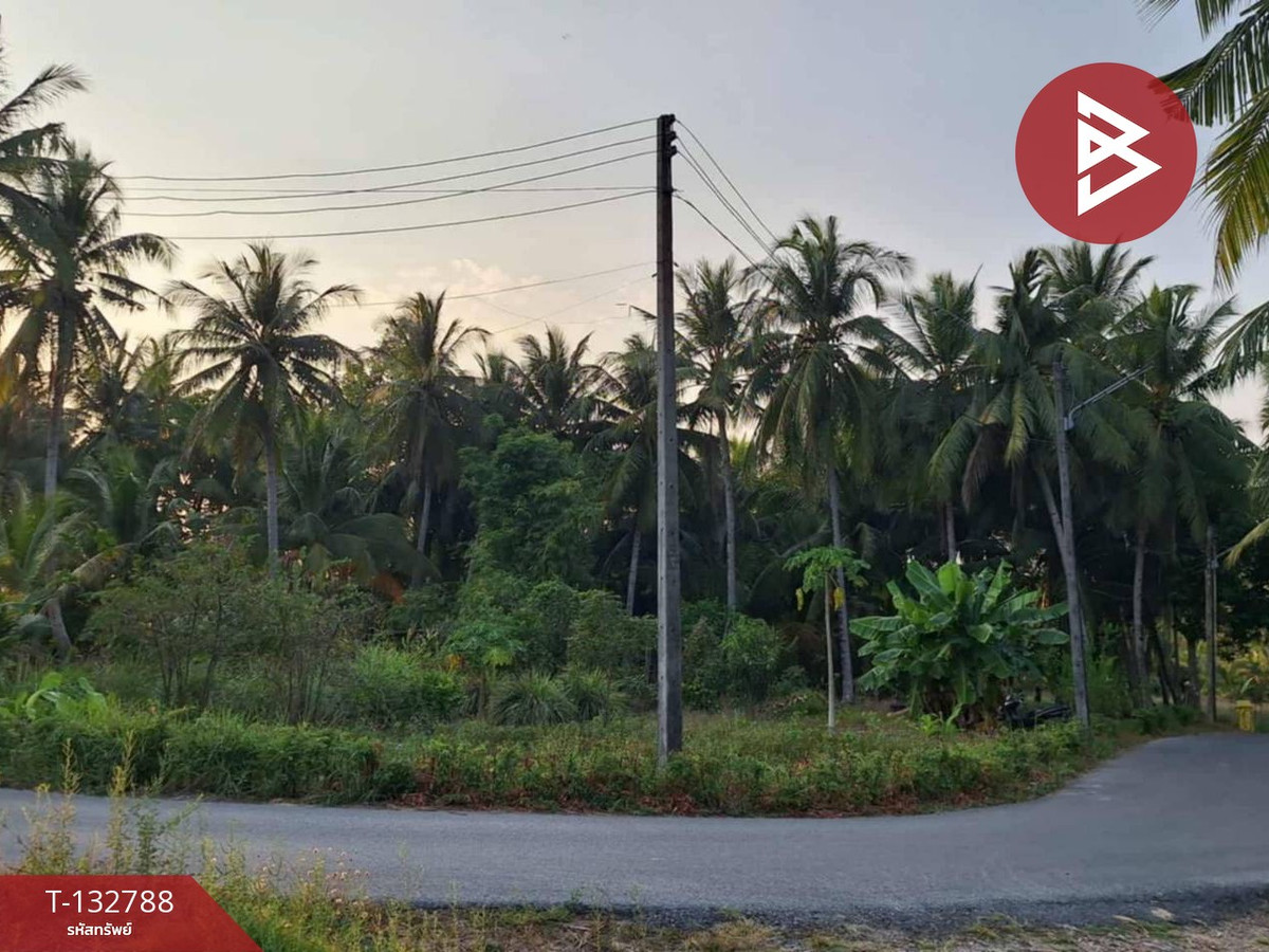 ขายที่ดินจันทบุรี : ขายที่ดิน เนื้อที่ 1 งาน 62.0 ตารางวา แหลมสิงห์ จันทบุรี