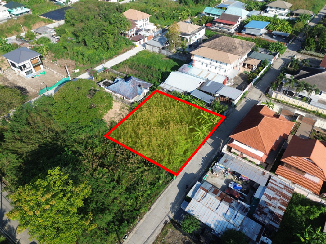 ขายที่ดินปิ่นเกล้า จรัญสนิทวงศ์ : ขาย ที่ดิน พุทธมณฑลสาย 3 ซอย 19 ขนาด 210 ตรว ใกล้ถ.พุทธมณฑลสาย 3 แค่ 350 ม. KK