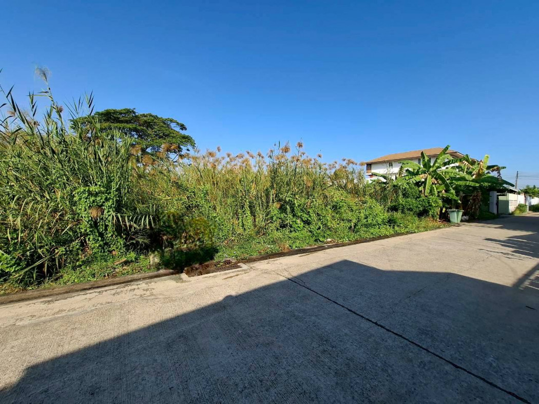 For SaleLandPinklao, Charansanitwong : Land for sale in Phutthamonthon Sai 3 Soi 19, 210 sq.wa., only 350 meters from Phutthamonthon Sai 3 Road. KK