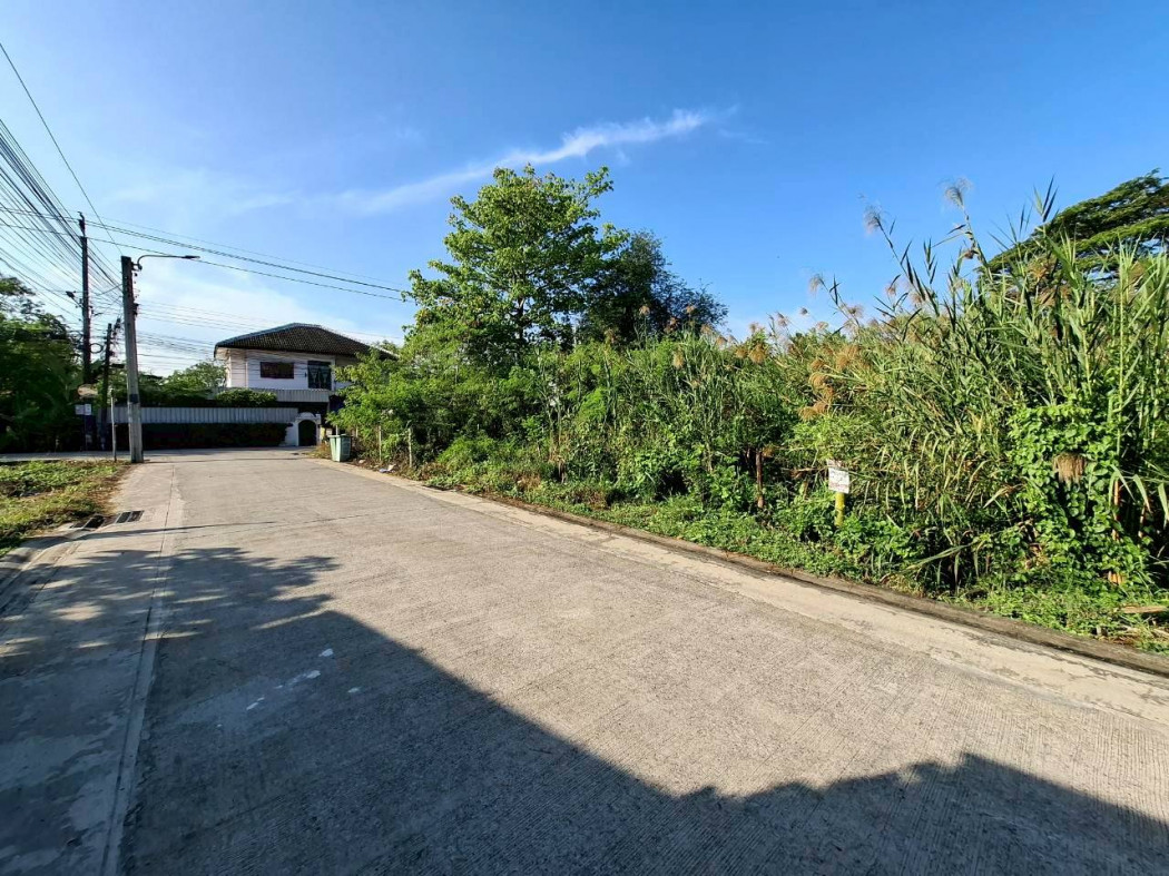 For SaleLandPinklao, Charansanitwong : Land for sale in Phutthamonthon Sai 3 Soi 19, 210 sq.wa., only 350 meters from Phutthamonthon Sai 3 Road. KK