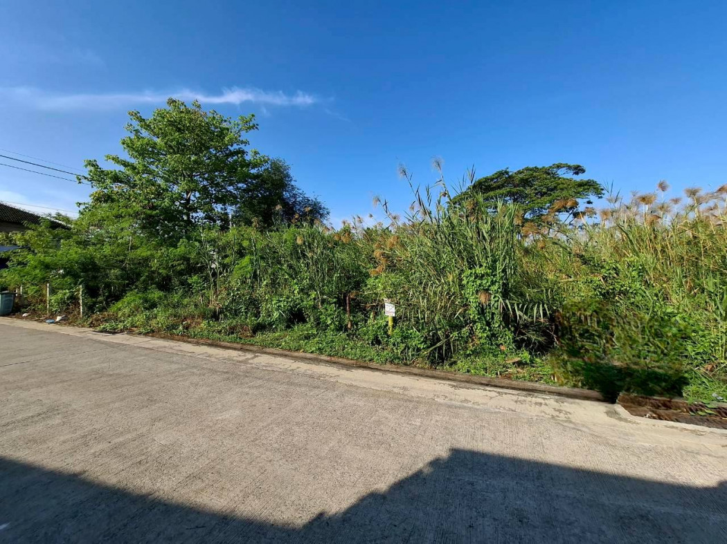 For SaleLandPinklao, Charansanitwong : Land for sale in Phutthamonthon Sai 3 Soi 19, 210 sq.wa., only 350 meters from Phutthamonthon Sai 3 Road. KK