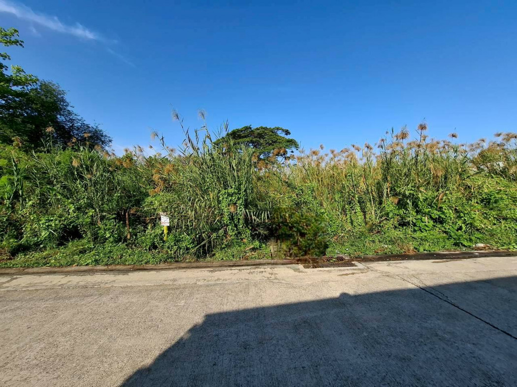 For SaleLandPinklao, Charansanitwong : Land for sale in Phutthamonthon Sai 3 Soi 19, 210 sq.wa., only 350 meters from Phutthamonthon Sai 3 Road. KK