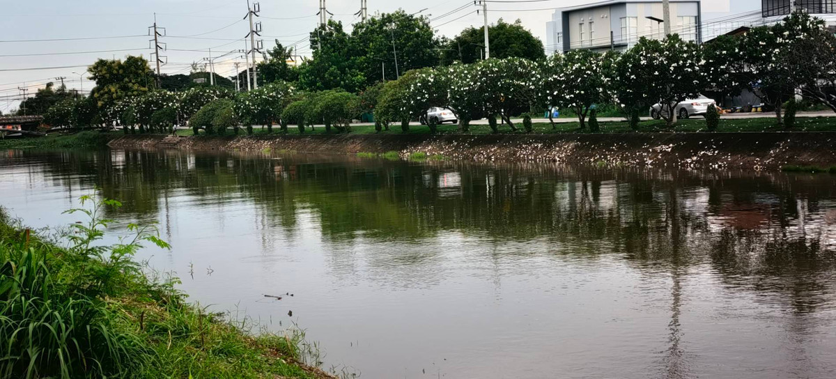 ขายที่ดินปทุมธานี รังสิต ธรรมศาสตร์ : ขายด่วน ✨ ที่ดินใกล้เทศบาลเมืองสนั่นรักษ์ ใกล้ชุมชนน และ ถนน 8 เลนสายรังสิต-นครนายก เพียงไร่ละ 1.2 ล้านบาท