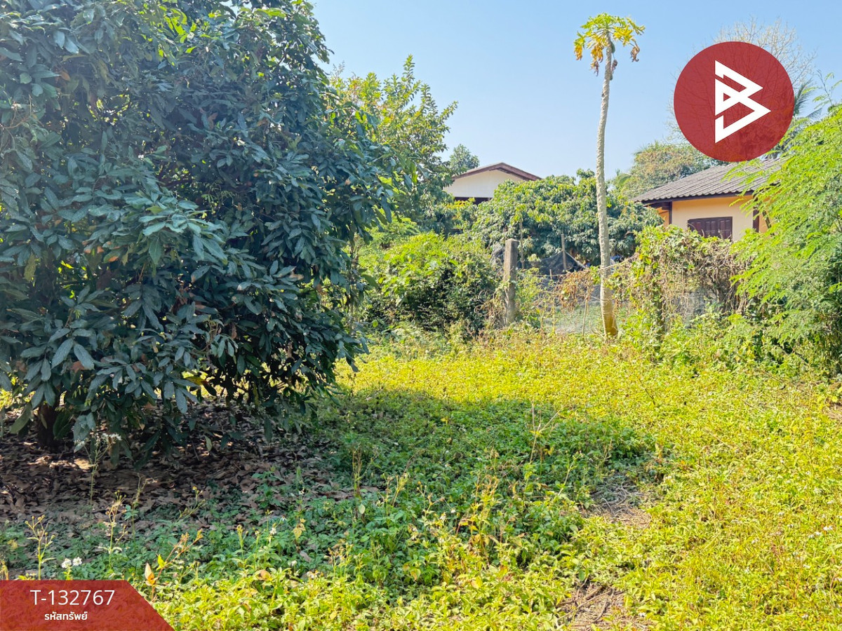 For SaleLandChiang Mai : Land for sale, area 236 square meters, Saraphi, Chiang Mai.