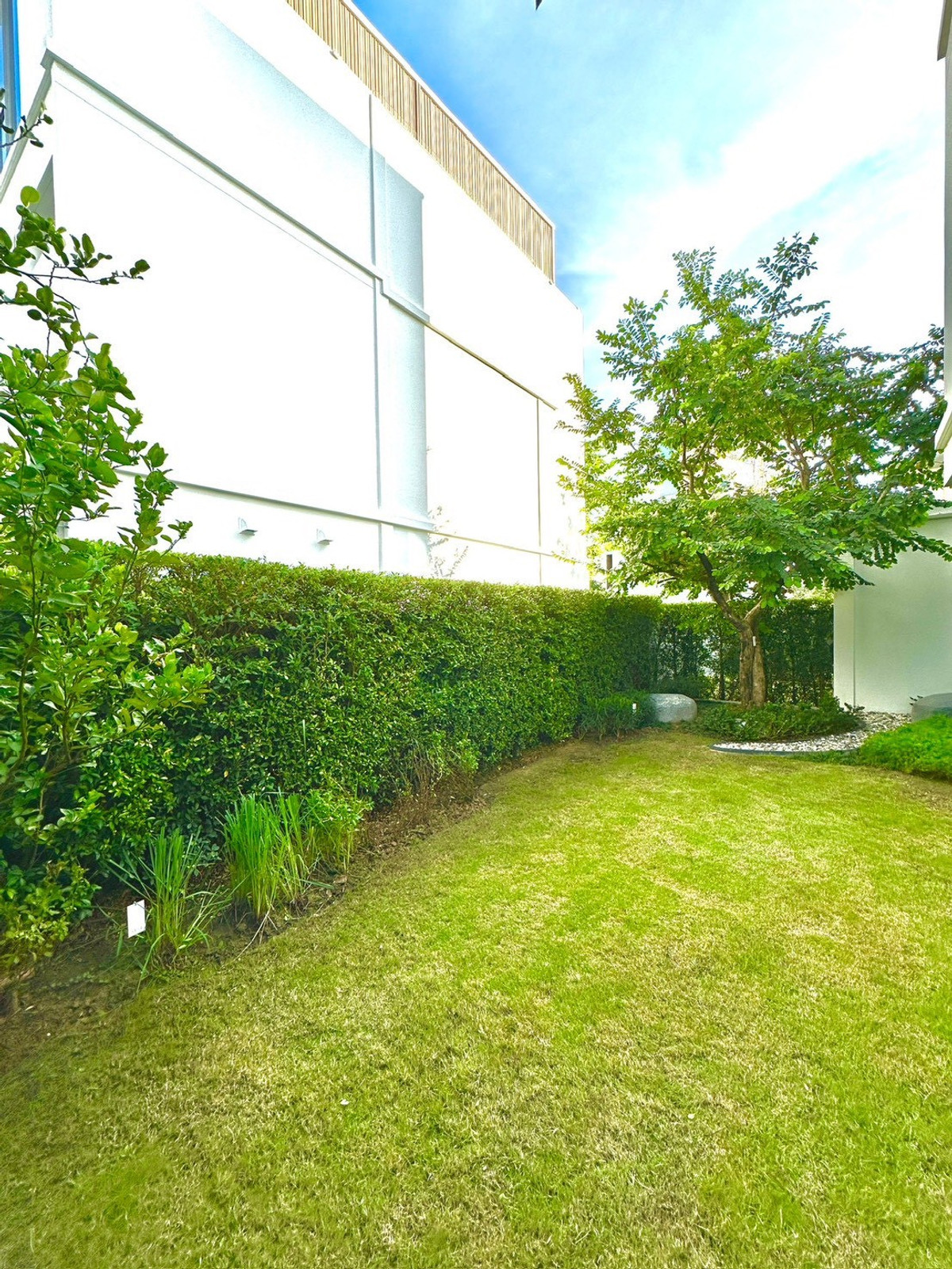 HousePattanakan, Srinakarin : For rent/sale, detached house, Vive Rama9 project, Vive Rama 9 (Krungthep Kreetha)