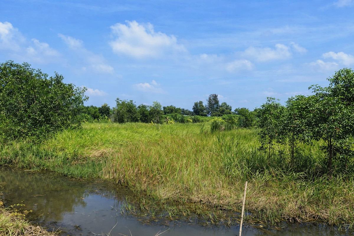 For SaleLandNakhon Nayok : 🌿 Empty land for sale, 2 rai, Ongkharak, Nakhon Nayok, near Prime City Golf Club.