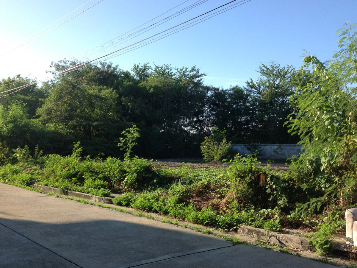 For SaleLandNakhon Pathom : Land for sale 132.5 sq m in Thong Thatchakan Village, Thanon Khat Subdistrict, Nakhon Pathom Province.