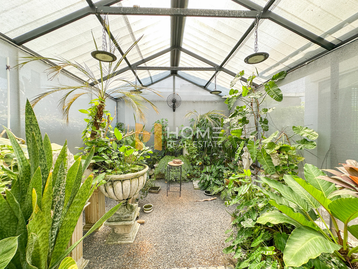 ขายบ้านบางนา แบริ่ง ลาซาล : บ้านสวนอังกฤษ ร่มรื่นตั้งแต่ก้าวแรก 🌿 มัณฑนา ศรีนครินทร์ - บางนา / 4 ห้องนอน (ขาย), Mantana Srinakarin - Bangna / 4 Bedrooms (FOR SALE) YOK058