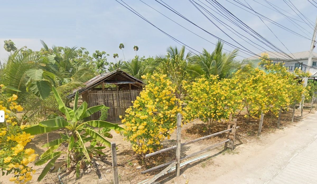 For RentLandNakhon Pathom : Land 200 sq m. For rent in Nakhon Chai Si, 10 minutes from Lotus Nakhon Chai Si. Can make a small mixed garden. Build a house in the garden, make a coffee shop, restaurant with a view of the garden. Rental price 6,000 baht/month, deposit 2 months, rent 1 