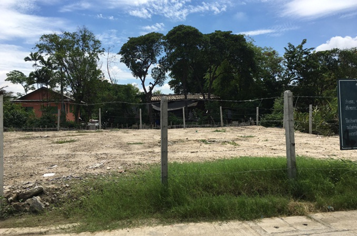 For RentLandRathburana, Suksawat : Land for rent 100 sq m, Khu Sang Khu Som Soi 5, Suksawat 84, Phra Samut Chedi, Samut Prakan, rent 6500 baht per month, call 085-191-2817.