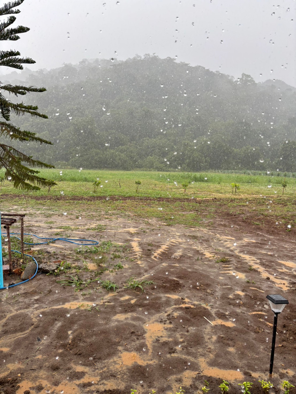 For SaleLandNakhon Sawan : Land for sale 11 rai 3 ngan 71 sq m, Nong Phikun Subdistrict, Tak Fa District, Nakhon Sawan Province. Mountain view, good weather