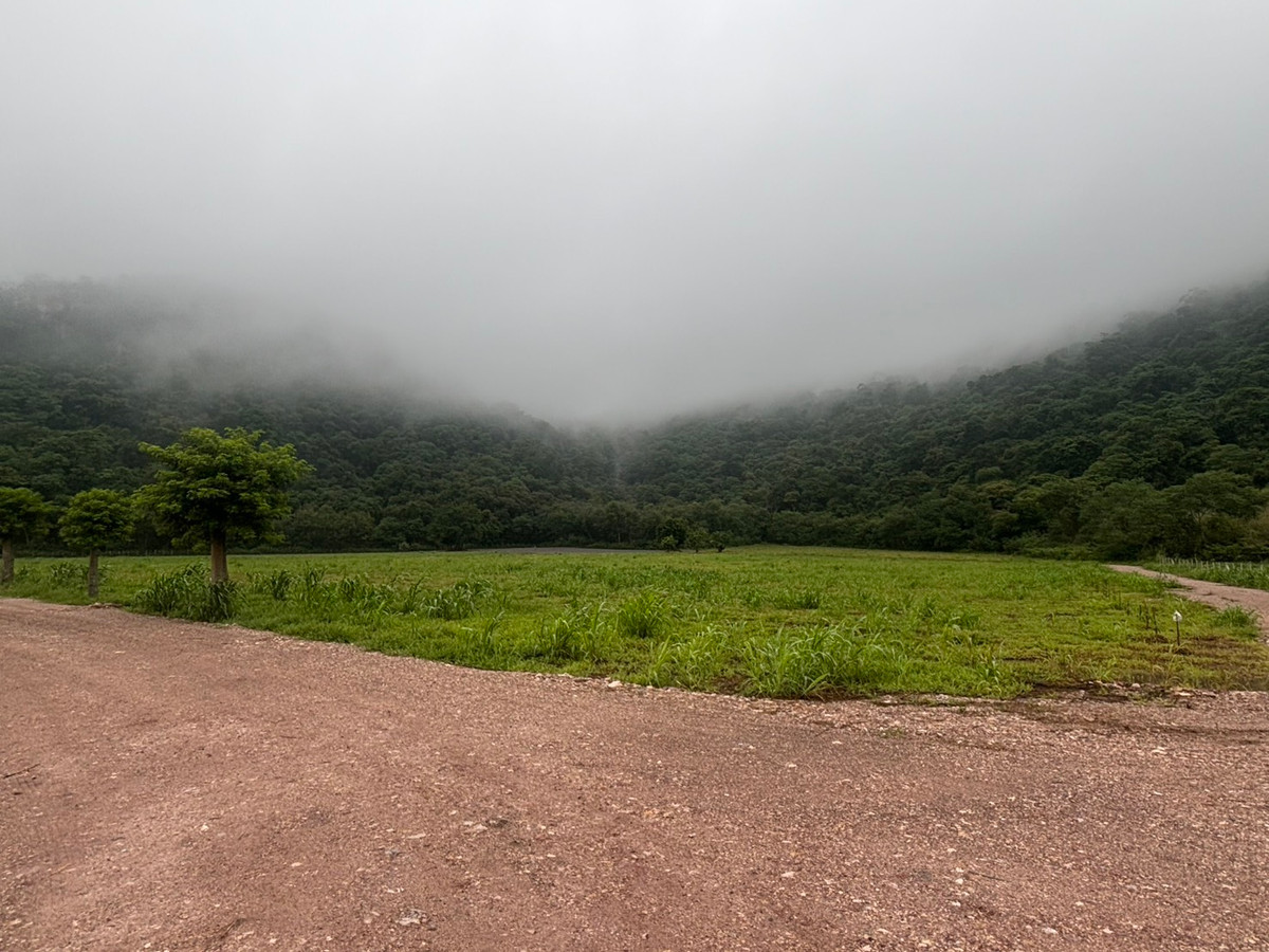 For SaleLandNakhon Sawan : Land for sale 11 rai 3 ngan 71 sq m, Nong Phikun Subdistrict, Tak Fa District, Nakhon Sawan Province. Mountain view, good weather