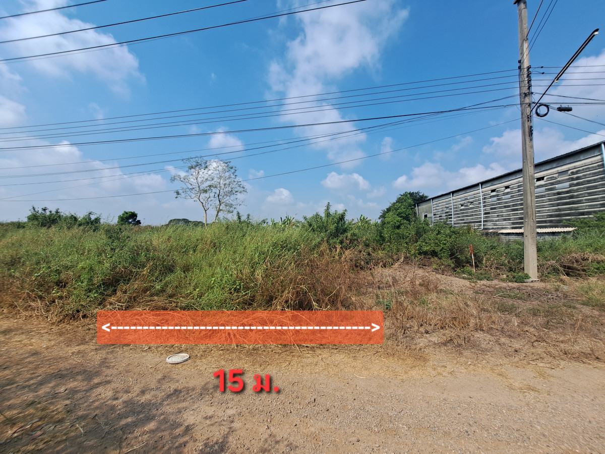 ขายที่ดินปทุมธานี รังสิต ธรรมศาสตร์ : ขายด่วน ที่ดิน 201 ตร.ว. ธัญญะ ปทุมธานี ทำเลดี  ใกล้สวนสัตว์แห่งใหม่, วิหารหลวงพ่อโสธร, สนามกอล์ฟ RG