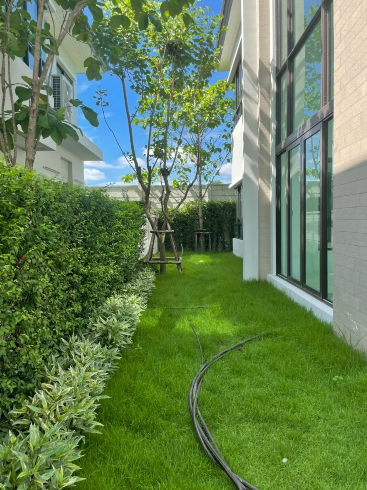 ขายบ้านปิ่นเกล้า จรัญสนิทวงศ์ : เจ้าของขายเอง งดรับนายหน้า ขายบ้านเดี่ยวโครงการเดอะซิตี้ปิ่นเกล้าบรม1* ซ.บรมราชชนนี60 ขนาดที่ดิน105ตารางวา พื้นที่ใช้สอย380ตารางเมตร เพียง 🔥22.9 ล้าน เฟสที่ดีที่สุดในโครงการ ใกล้คลับเฮ้าส์ ติดสวนขนาดใหญ่ของหมู่บ้าน เลขที่มงคล 9/5 พร้อมเข้าอยู่ 0954935293