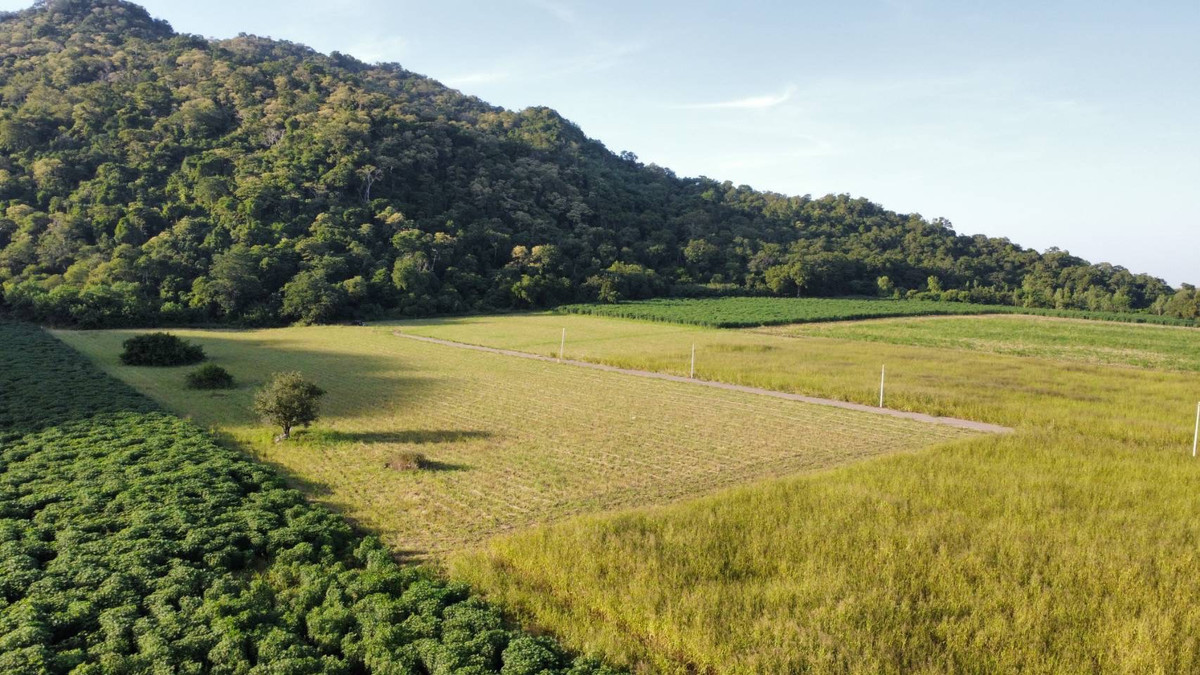 For SaleLandNakhon Sawan : Land for sale 11 rai 3 ngan 71 sq m, Nong Phikun Subdistrict, Tak Fa District, Nakhon Sawan Province. Mountain view, good weather