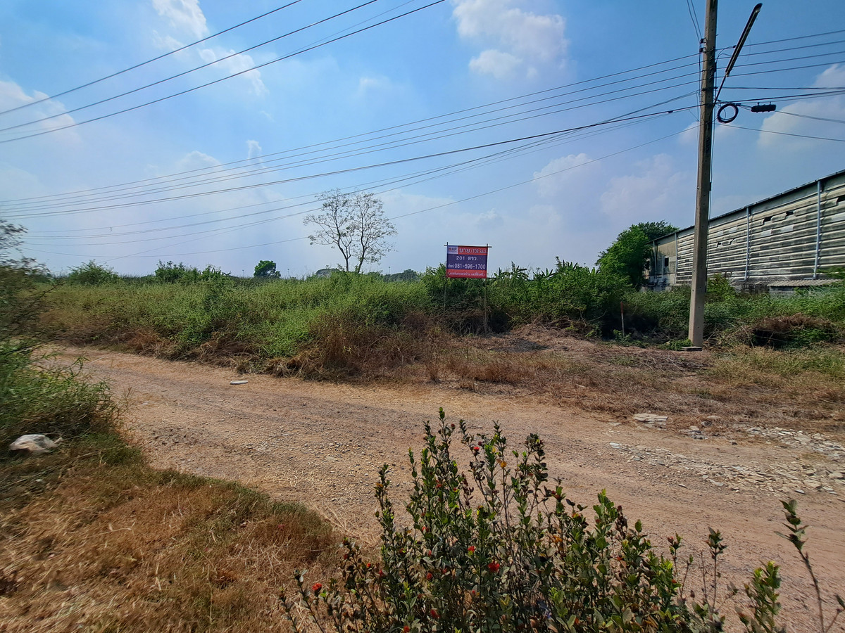 ขายที่ดินปทุมธานี รังสิต ธรรมศาสตร์ : ขายด่วน ที่ดิน 201 ตร.ว. ธัญญะ ปทุมธานี ทำเลดี  ใกล้สวนสัตว์แห่งใหม่, วิหารหลวงพ่อโสธร, สนามกอล์ฟ RG