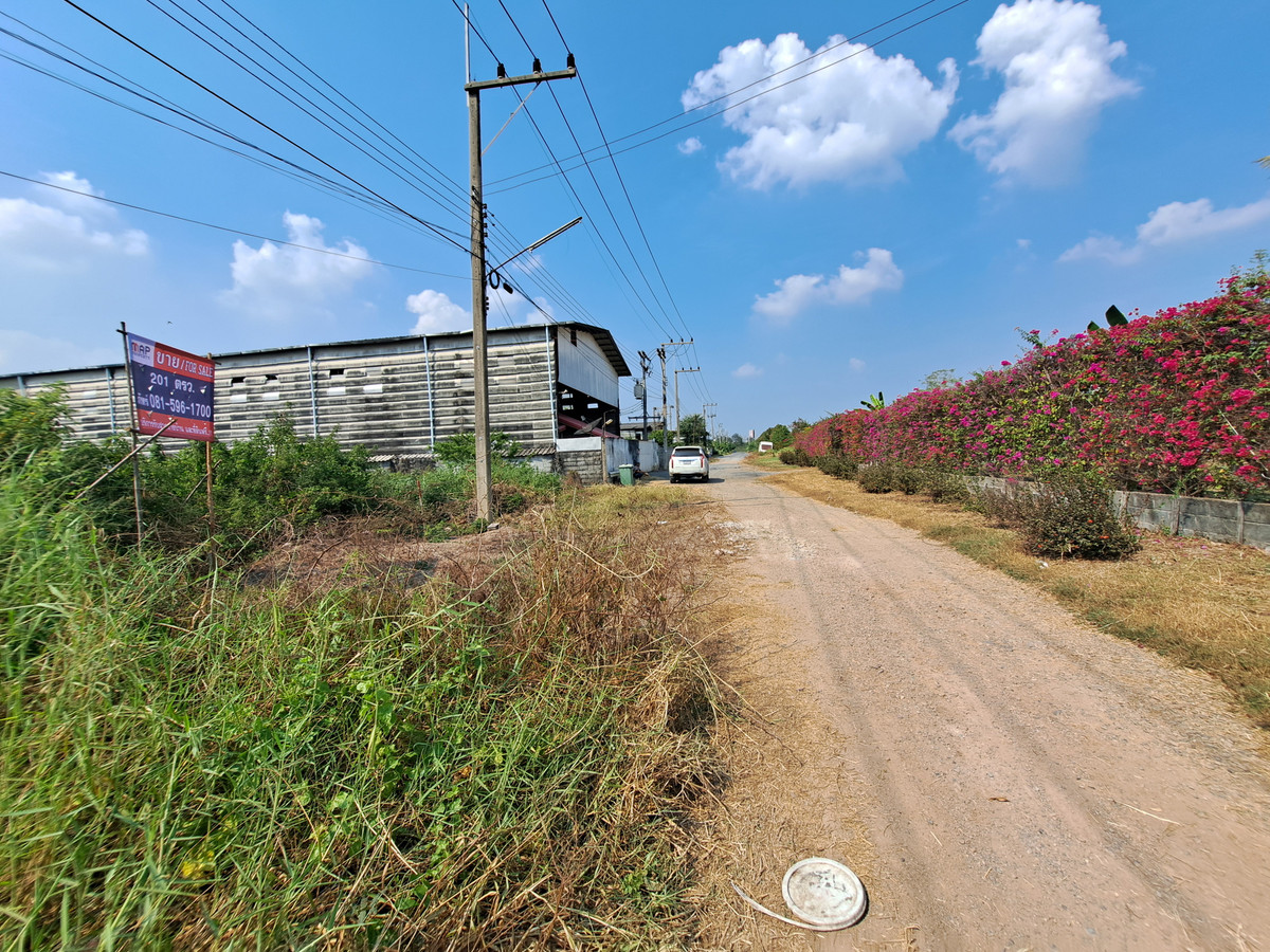 For SaleLandPathum Thani,Rangsit, Thammasat : Urgent sale! 201 sq.w. land plot in Thanya, Pathum Thani. Excellent location, near the new zoo, Wat 