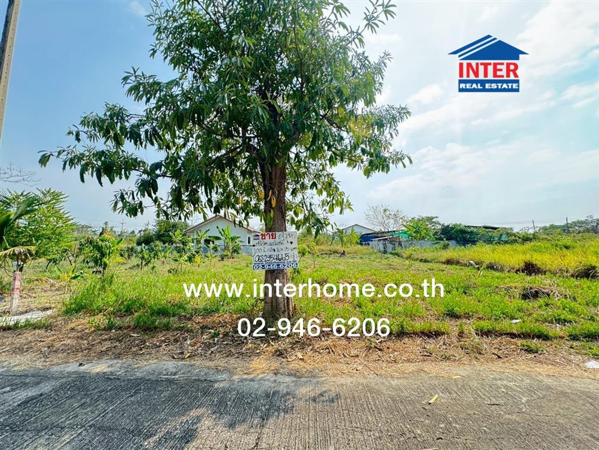 For SaleLandNakhon Pathom : Empty land 100 sq m. Land, Om Thai Village. Near the Department of Lands, Sam Phran, Nakhon Pathom, Borommaratchachonnani Road, Nakhon Chai Si, Nakhon Pathom