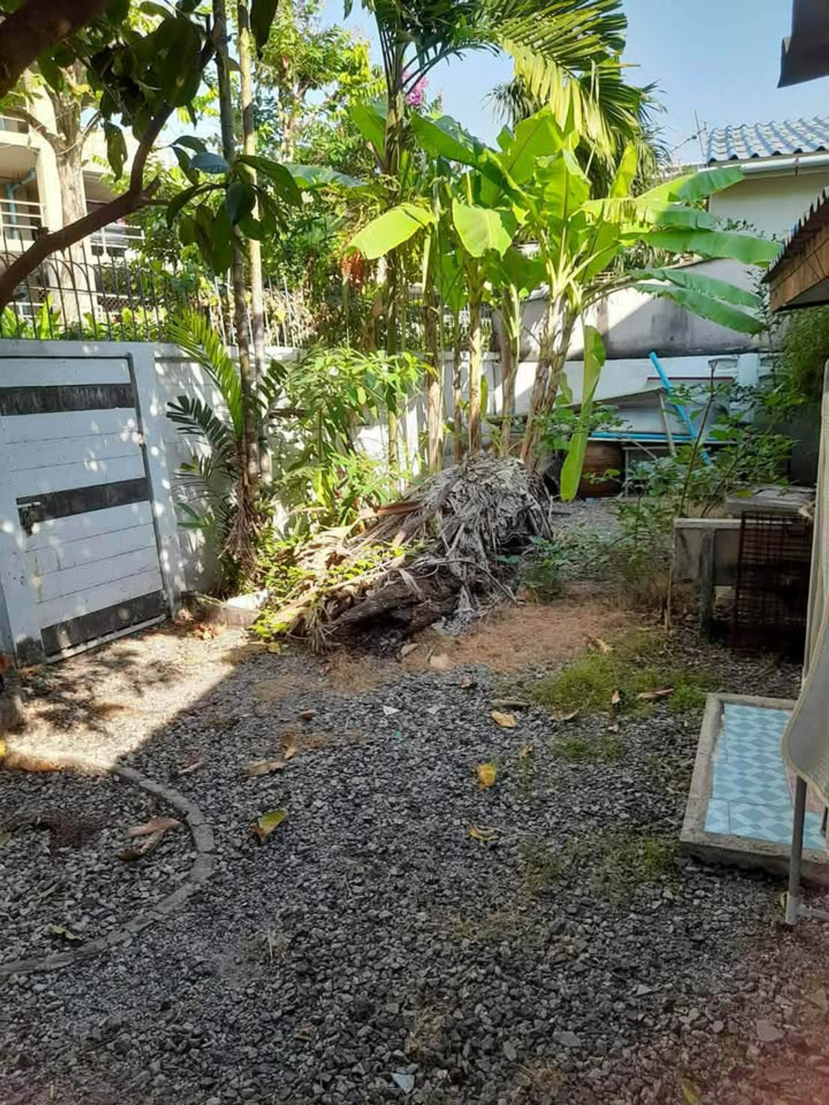 ขายบ้านนวมินทร์ รามอินทรา : บ้านเดี่ยว รามอินทรา ซอย 5 แยก 1 / 3 ห้องนอน (ขาย), Single house Ramintra Soi 5 Intersection 1 / 3 Bedrooms (FOR SALE) TAN886