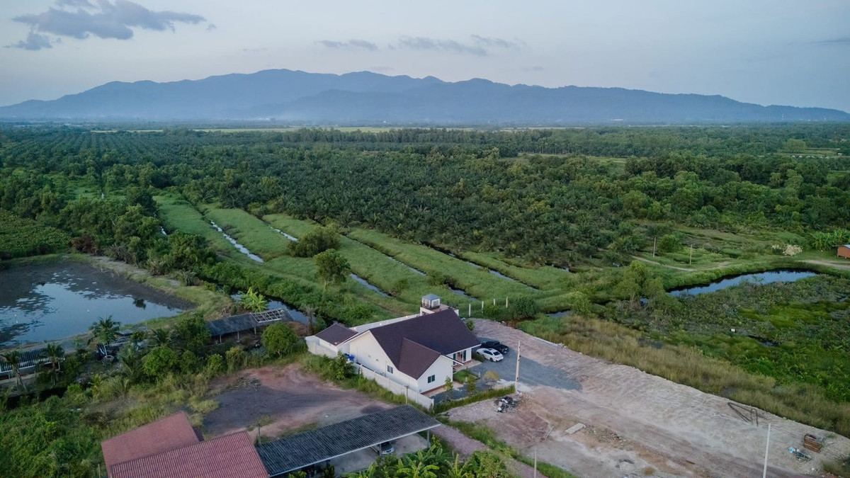 For SaleChanthaburi : Pool villa for sale, Tree Zone Pool Villa, area 214.7 square meters, Nong Sim Subdistrict, Laem Sing District, Chanthaburi Province.