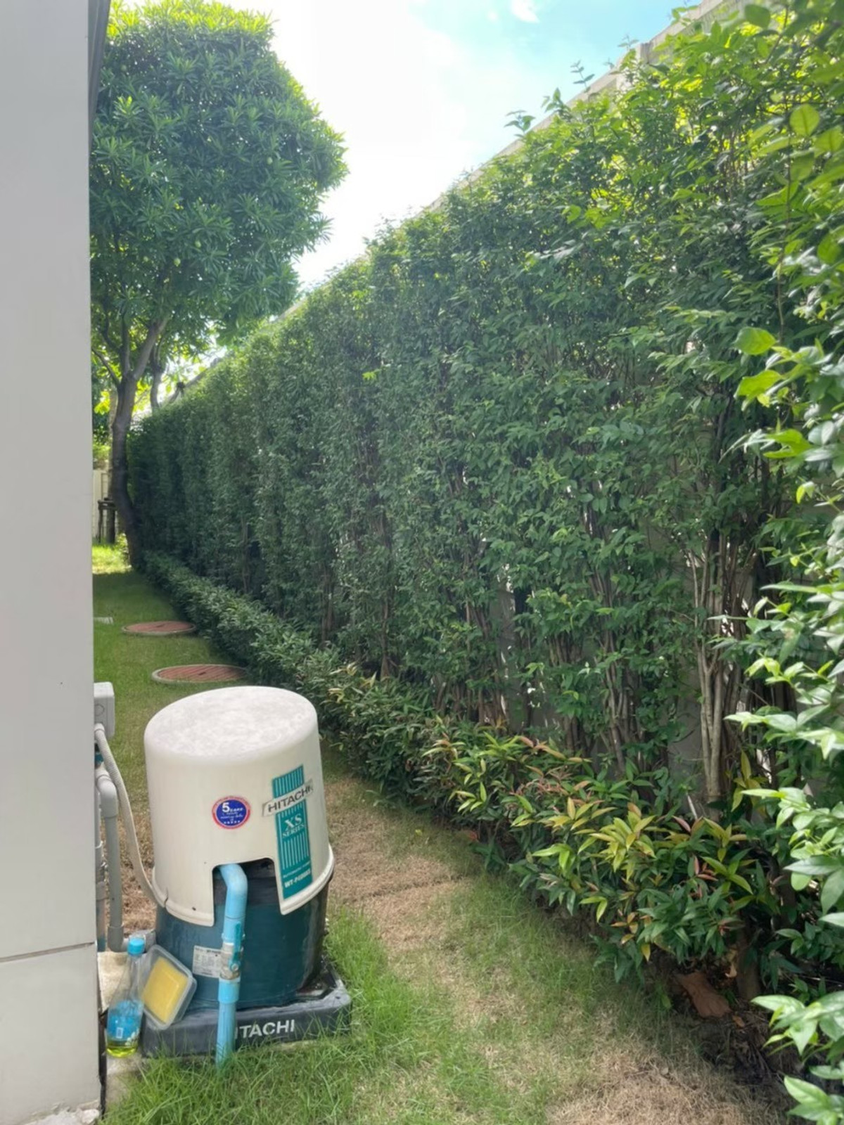 ขายบ้านปิ่นเกล้า จรัญสนิทวงศ์ : เจ้าของขายเอง งดรับนายหน้า ขายบ้านเดี่ยวโครงการเดอะซิตี้ปิ่นเกล้าบรม1* ซ.บรมราชชนนี60 ขนาดที่ดิน105ตารางวา พื้นที่ใช้สอย380ตารางเมตร เพียง 🔥22.9 ล้าน เฟสที่ดีที่สุดในโครงการ ใกล้คลับเฮ้าส์ ติดสวนขนาดใหญ่ของหมู่บ้าน เลขที่มงคล 9/5 พร้อมเข้าอยู่ 0954935293