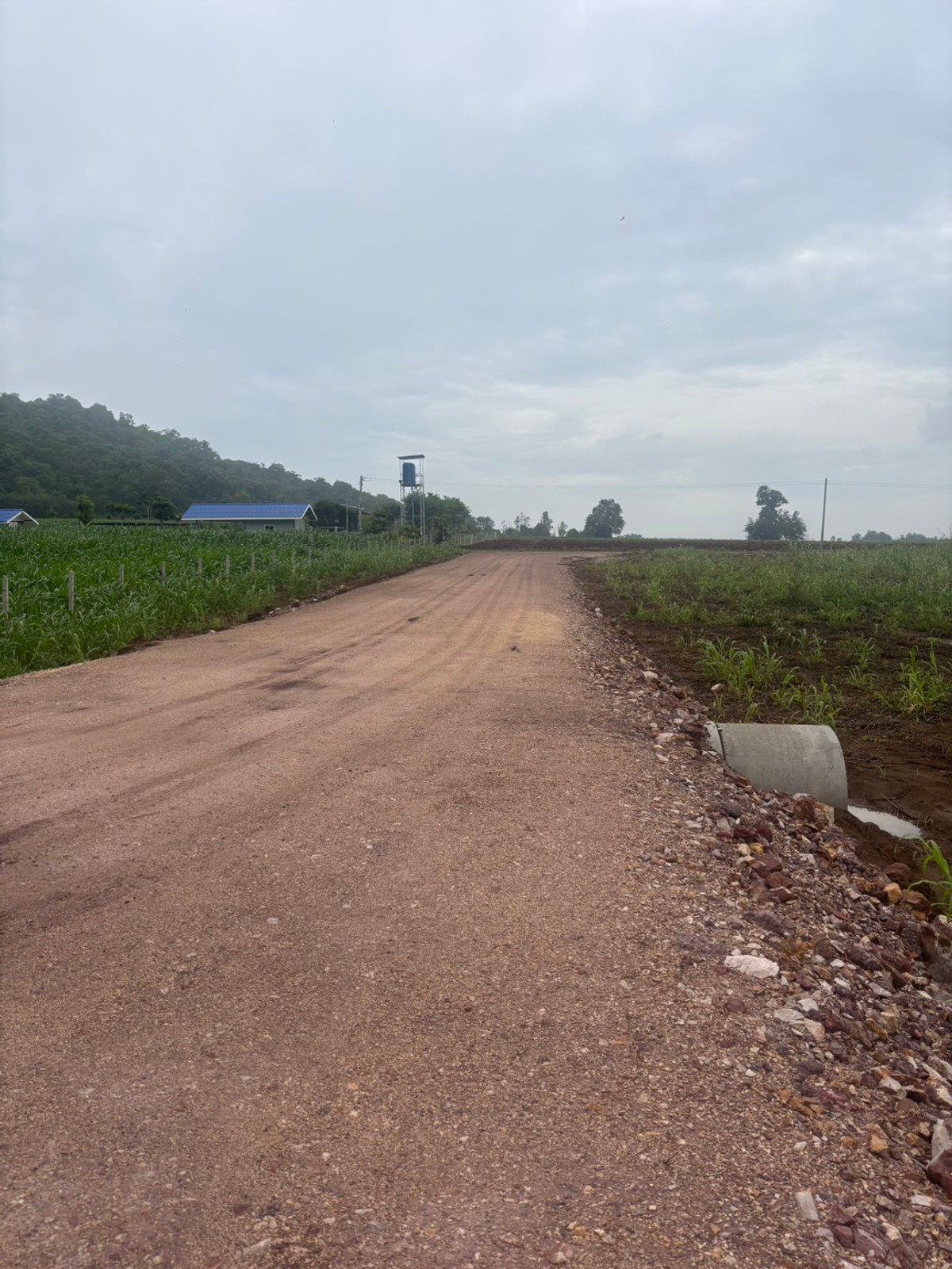 For SaleLandNakhon Sawan : Land for sale 11 rai 3 ngan 71 sq m, Nong Phikun Subdistrict, Tak Fa District, Nakhon Sawan Province. Mountain view, good weather