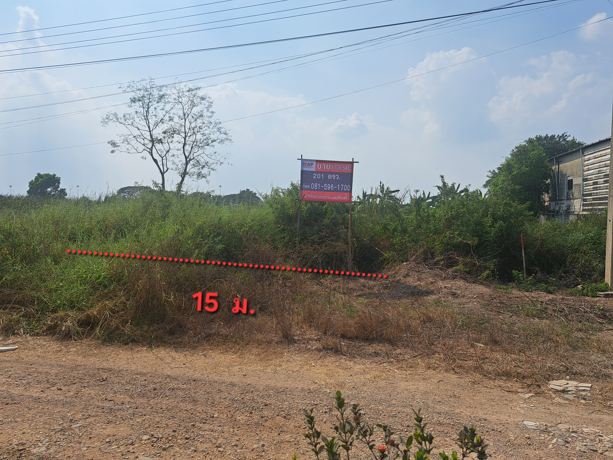 ขายที่ดินปทุมธานี รังสิต ธรรมศาสตร์ : ขายด่วน ที่ดิน 201 ตร.ว. ธัญญะ ปทุมธานี ทำเลดี  ใกล้สวนสัตว์แห่งใหม่, วิหารหลวงพ่อโสธร, สนามกอล์ฟ RG