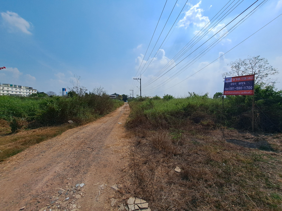 ขายที่ดินปทุมธานี รังสิต ธรรมศาสตร์ : ขายด่วน ที่ดิน 201 ตร.ว. ธัญญะ ปทุมธานี ทำเลดี  ใกล้สวนสัตว์แห่งใหม่, วิหารหลวงพ่อโสธร, สนามกอล์ฟ RG