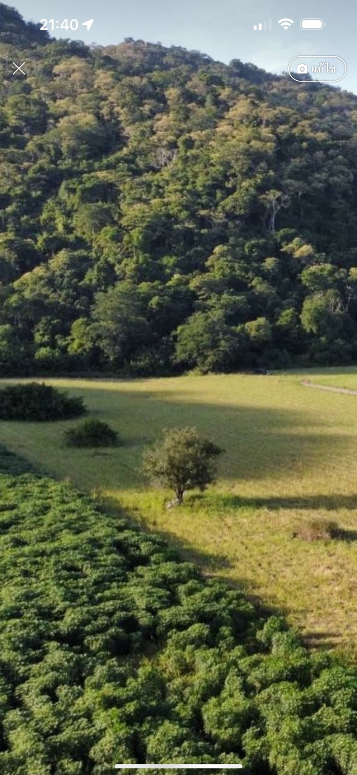 For SaleLandNakhon Sawan : Land for sale 11 rai 3 ngan 71 sq m, Nong Phikun Subdistrict, Tak Fa District, Nakhon Sawan Province. Mountain view, good weather